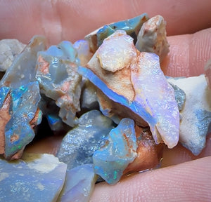 103.5cts - 29x Lightning Ridge Opal Rough Parcel
