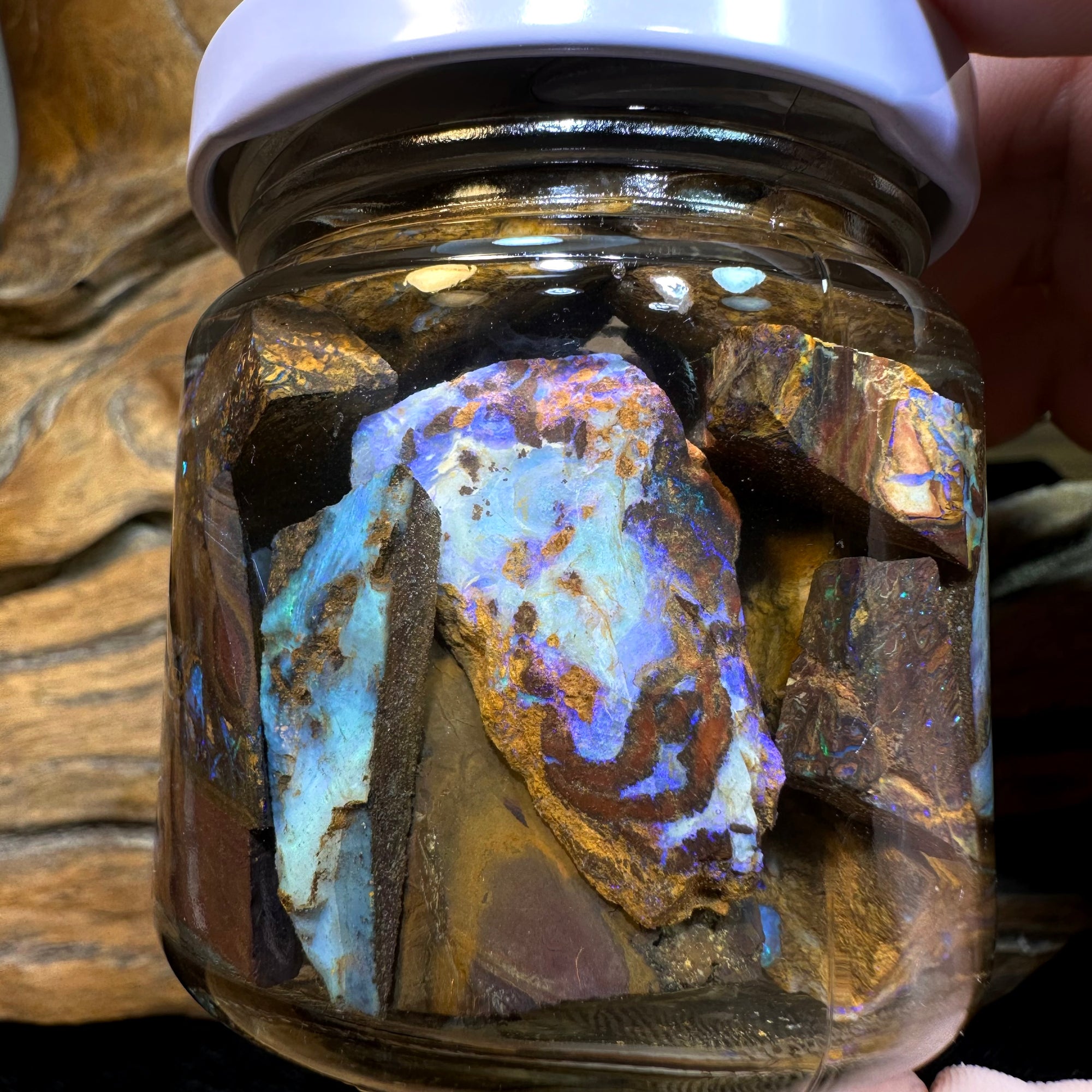 132g - Rough Queensland Boulder Opal Jar - Opal Whisperers