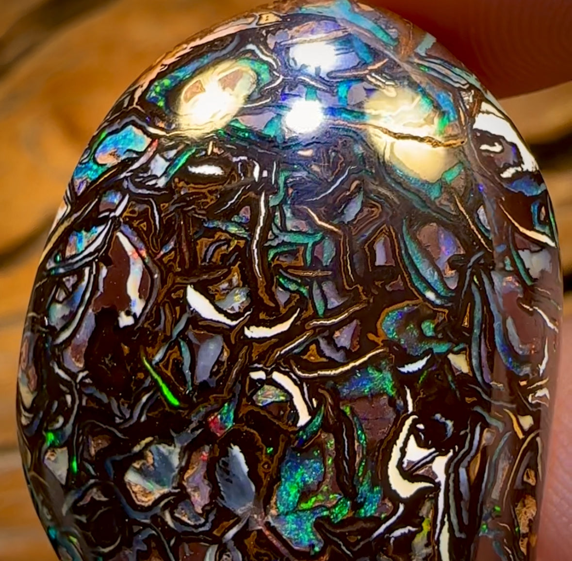 92.4cts - Top Tribal Koroit Nut Opal. Australian Opal