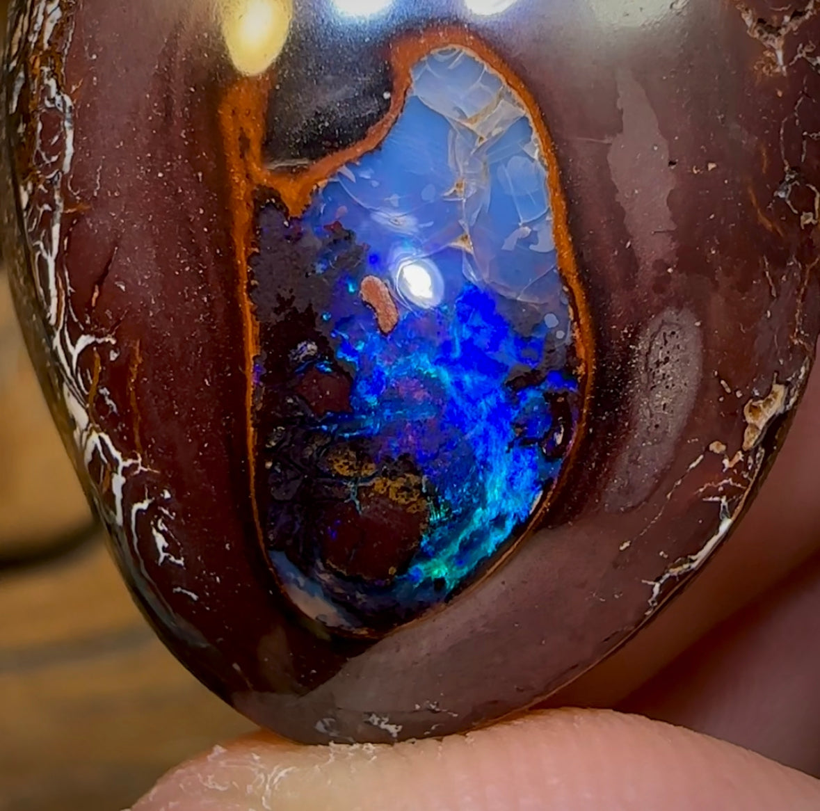 67.5cts - Yowah Nut Kernel Opal. Australian Opal - Opal Whisperers