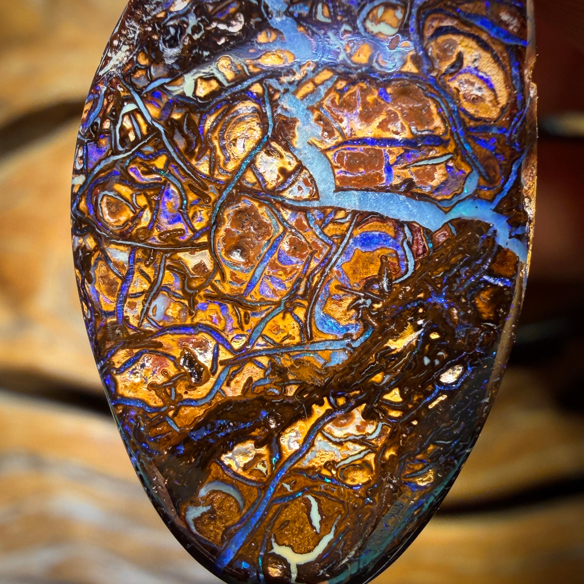34 x 19mm - Gebohrte Tribal Queensland Boulder Opal Halskette