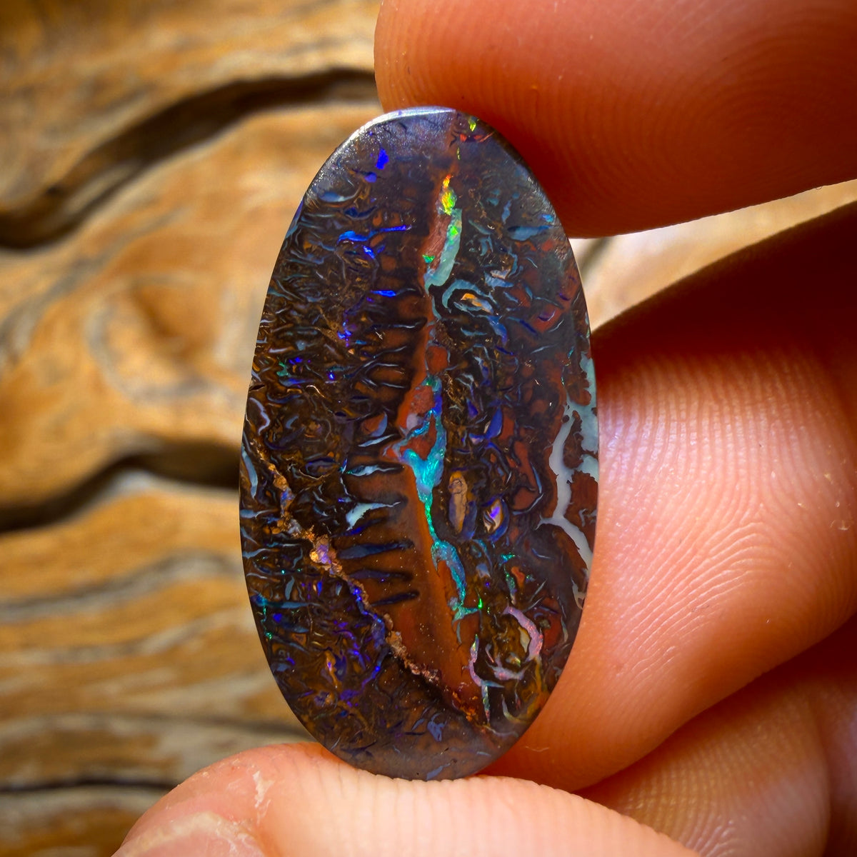 Wildcard! 18.8cts - Black Top Tribal Queensland Boulder Opal Picture Stone from Koroit