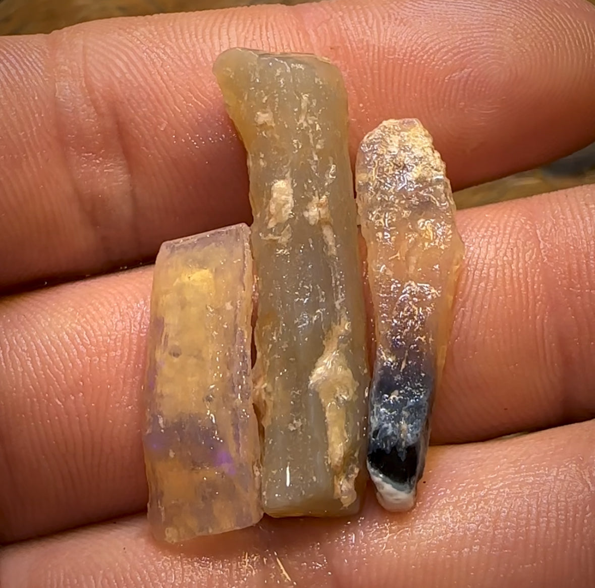 🔨 AUCTION 🔨 No Reserve 23.8cts - 3x Opalised Fossil Geological Specimens from Lightning Ridge