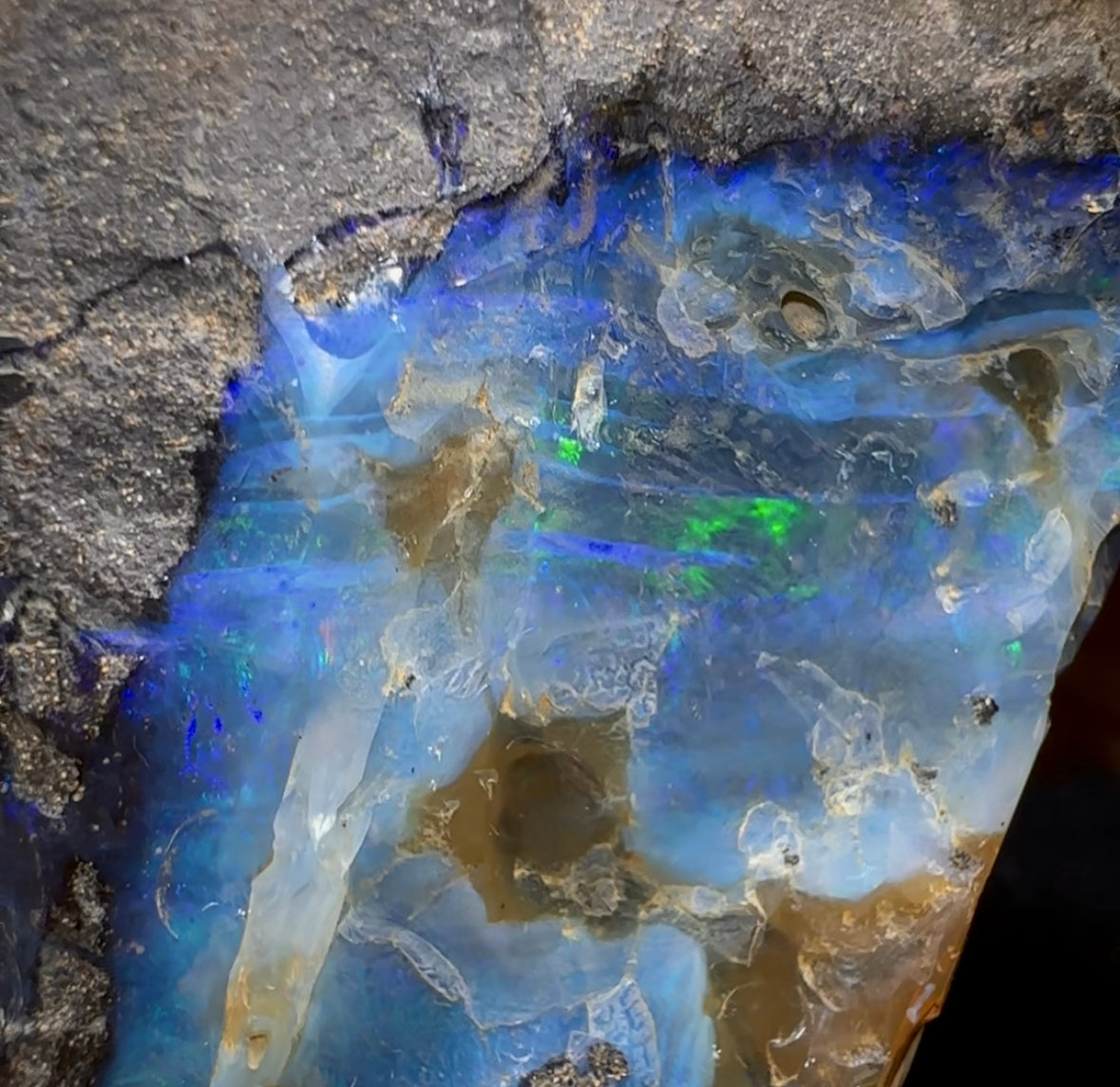 906g - Large Queensland Boulder Opal Rough Specimen from Winton - Opal Whisperers