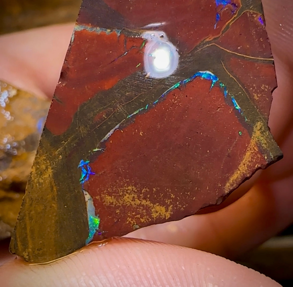 326.4cts - 3x Australian Boulder Opal Rough - Opal Whisperers