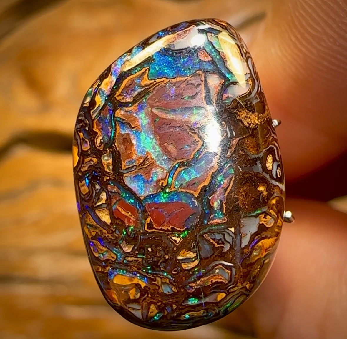 17.1cts - Tribal Queensland Boulder Opal from Yowah
