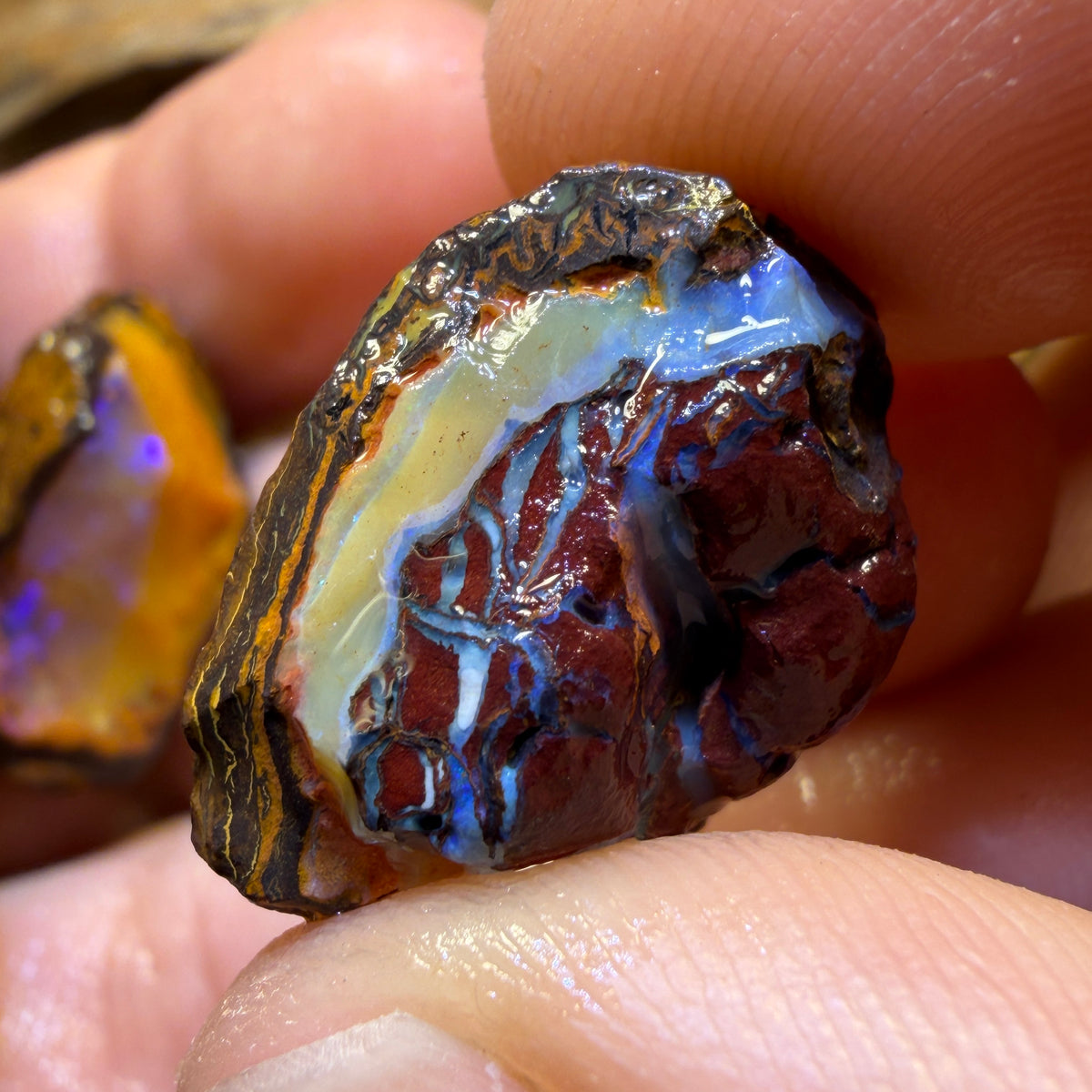 154.2cts - 3x Yowah Nut Rough Opal ParcelWith Crystal Centers