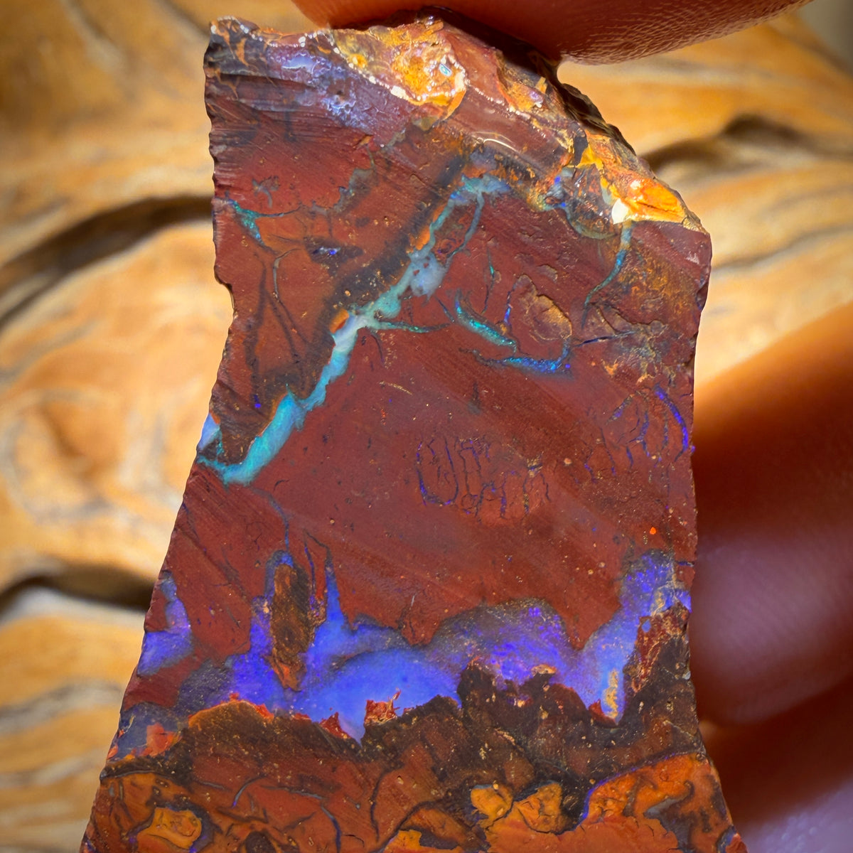 Bargain Rough! 422cts - Large Tribal Yowah Nut Opal Rough Piece