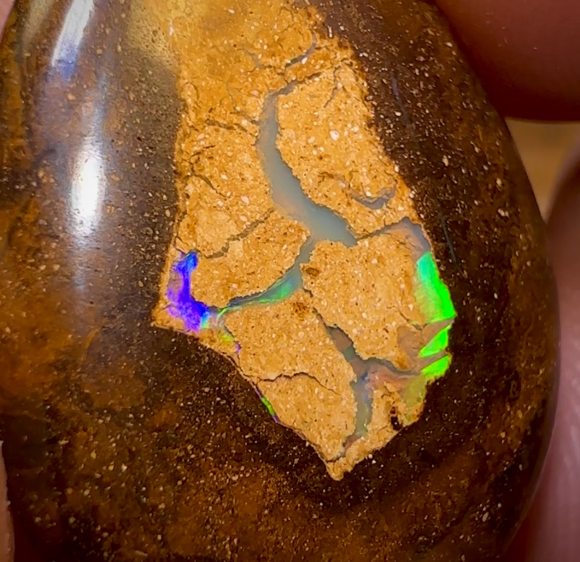 26.5cts - Yowah Nut Tribal Kernel Opal. Australian Boulder Opal