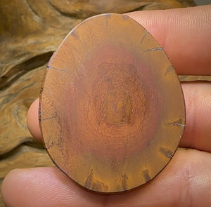 160cts - Large Yowah Nut Opal. Tribal Pattern