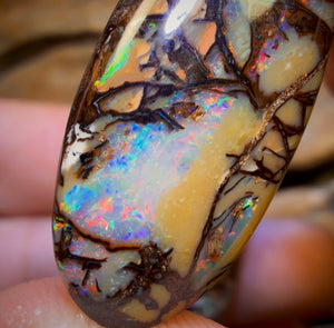 33.1cts - Cathedral AKA Stained Glass Window Australian Boulder Wood Fossil Opal Pair