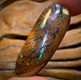30.9cts - Queensland Boulder Opal from Yowah. Electric Green!
