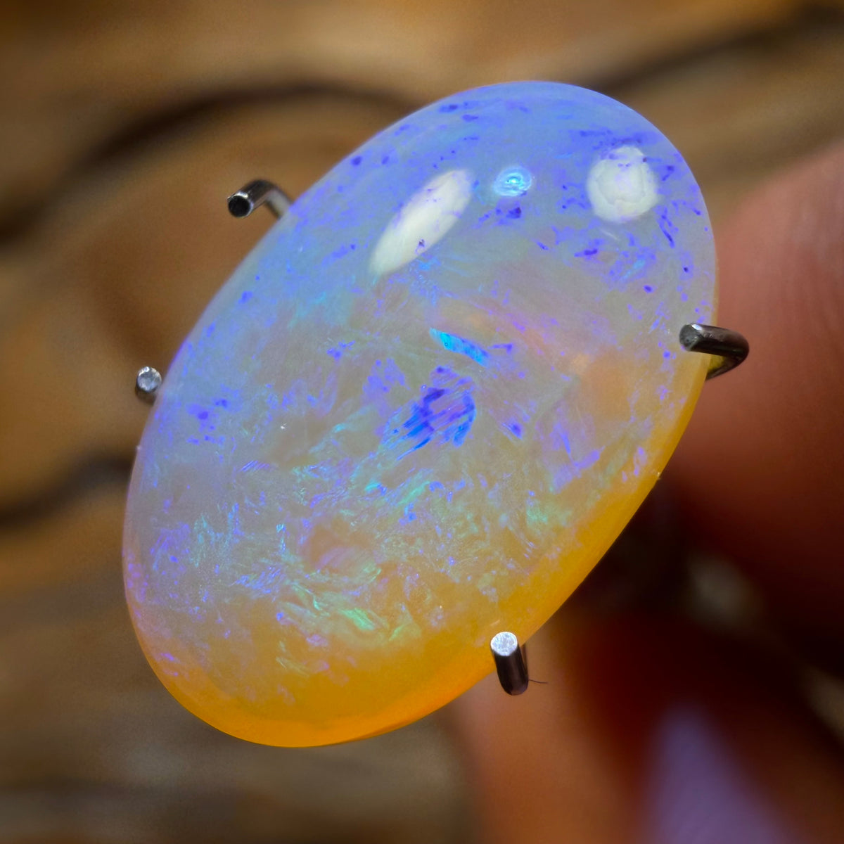 3.1cts - Lightning Ridge Crystal Opal