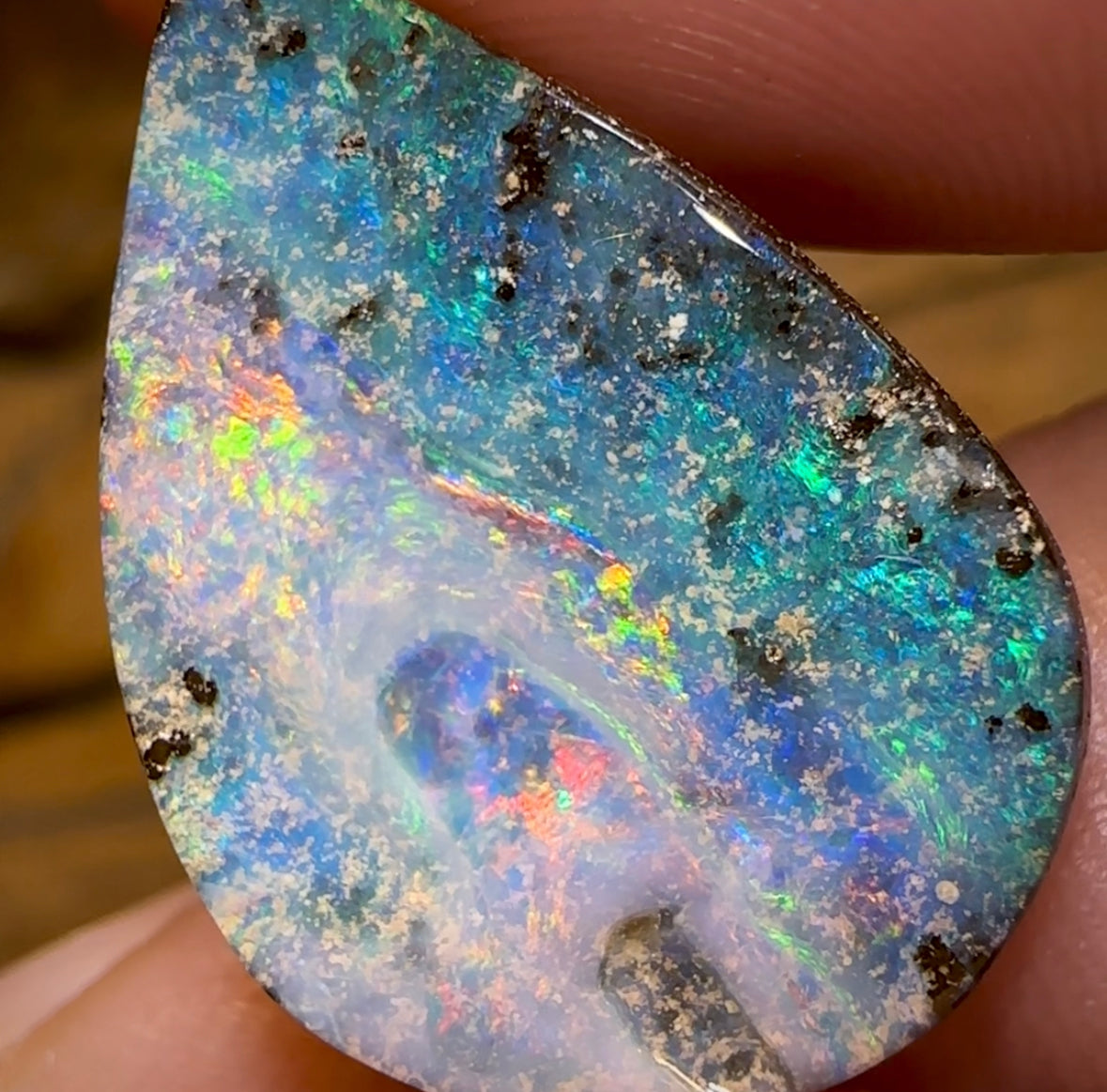 16.5cts - Queensland Boulder Opal from Winton - Opal Whisperers