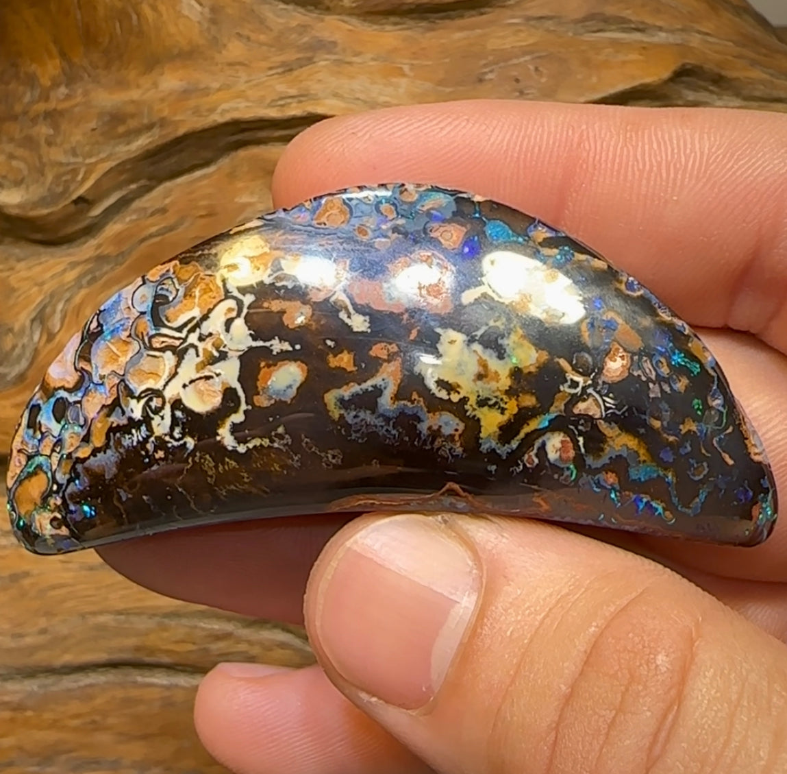 177.2cts - Queensland Boulder Australian Opal Specimen - Opal Whisperers