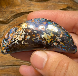 Dad Speci or Multiple Jewellery Pieces 177.2cts - Queensland Boulder Australian Opal Specimen