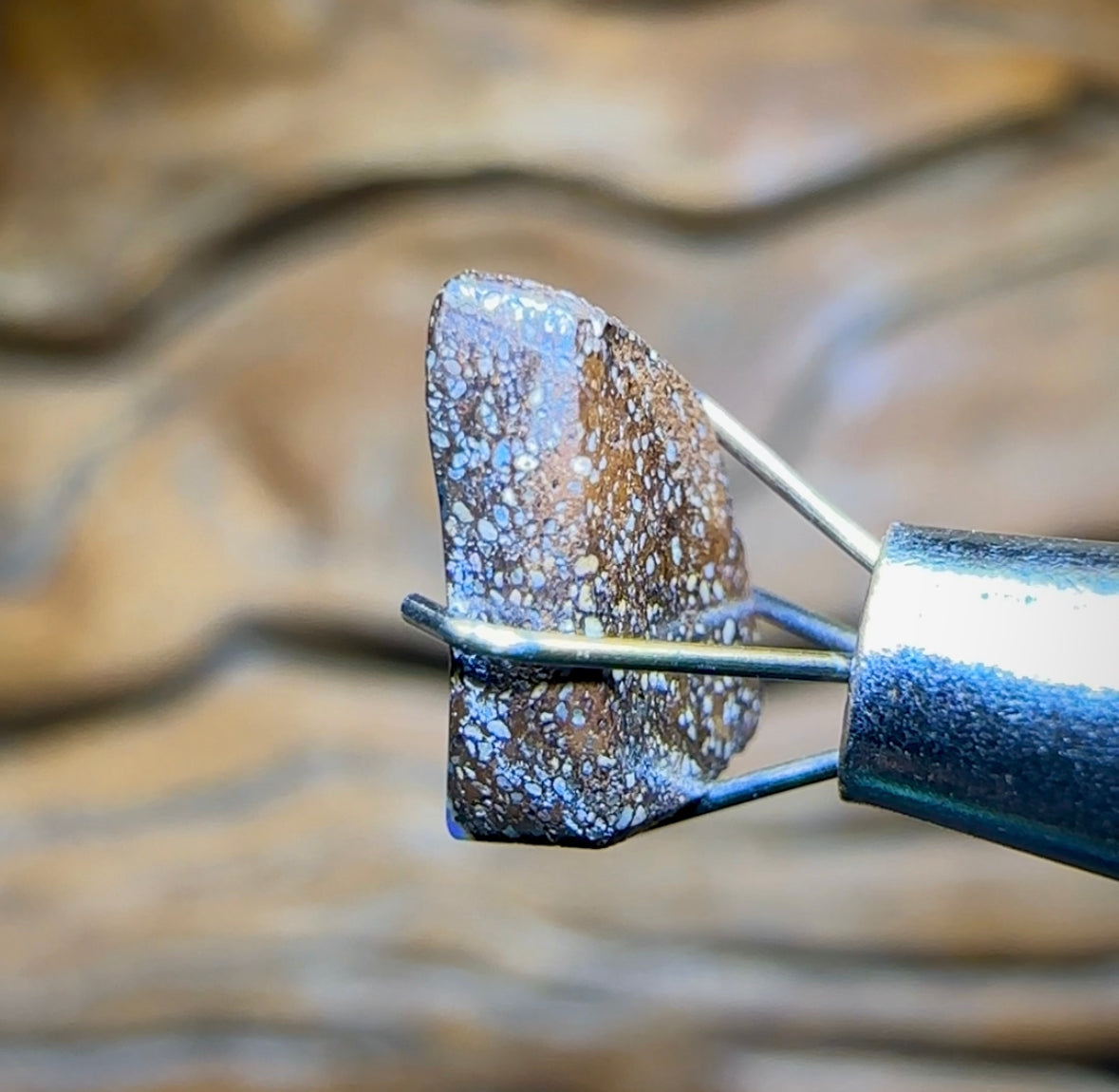 1.85cts - Queensland Boulder Opal from Winton - Opal Whisperers