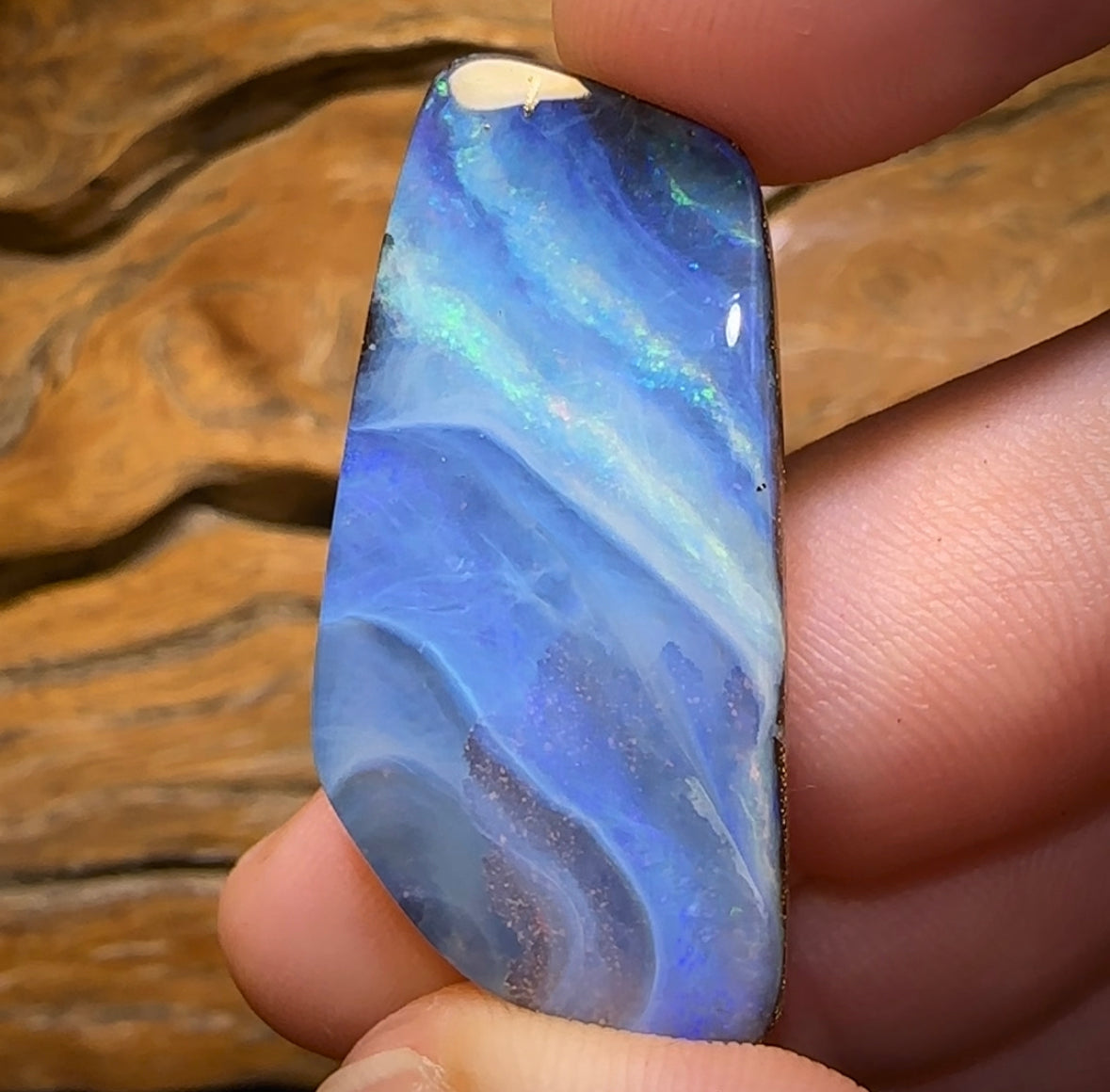 45.7cts - “Tidal Change” Queensland Boulder Landscape Opal Picture Stone - Opal Whisperers