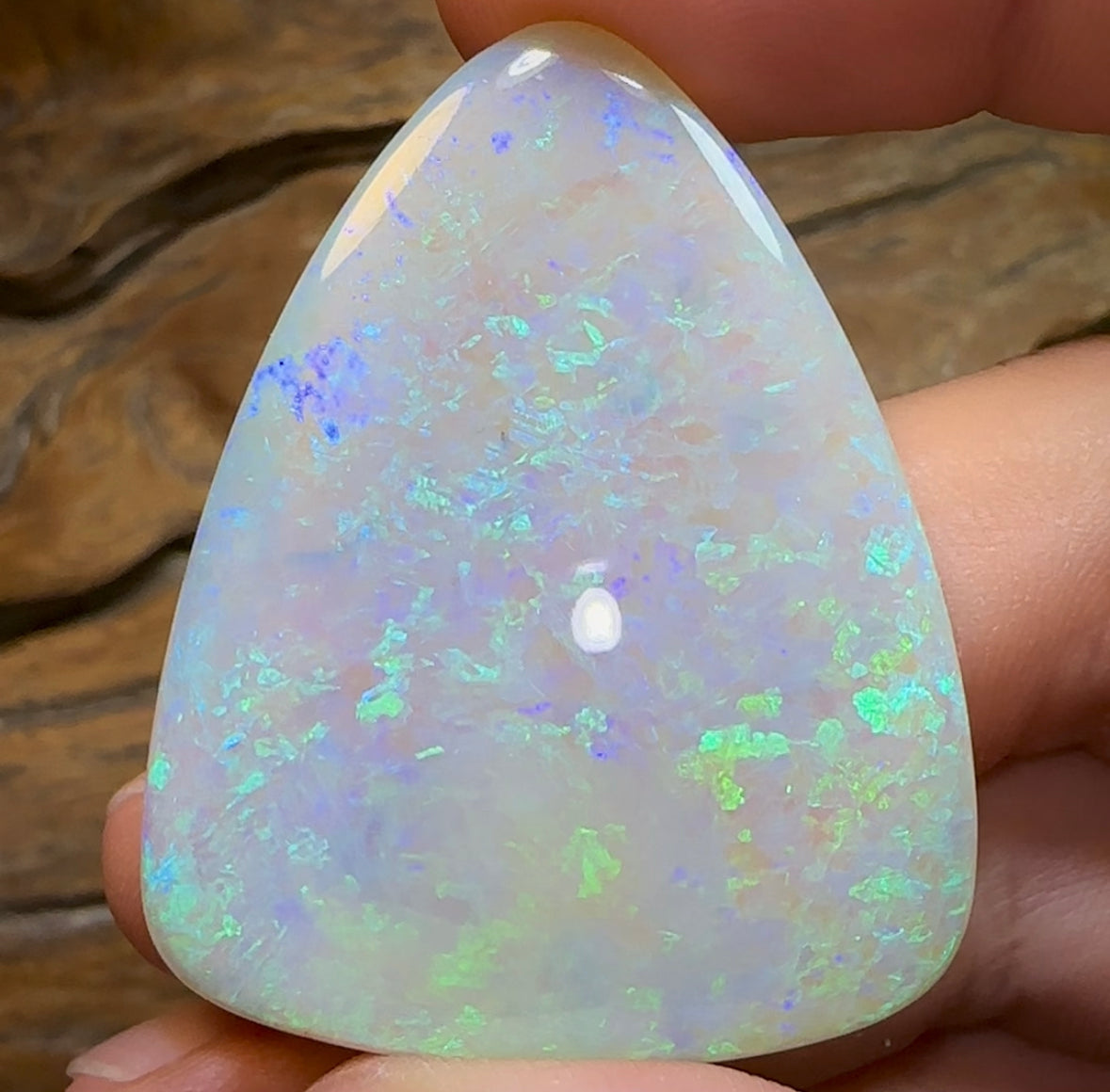 51.5cts - LARGE Heritage Collection South Australian  Crystal Opal - Opal Whisperers