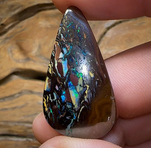 31.2cts - Tribal Pattern Koroit Nut Opal - Opal Whisperers