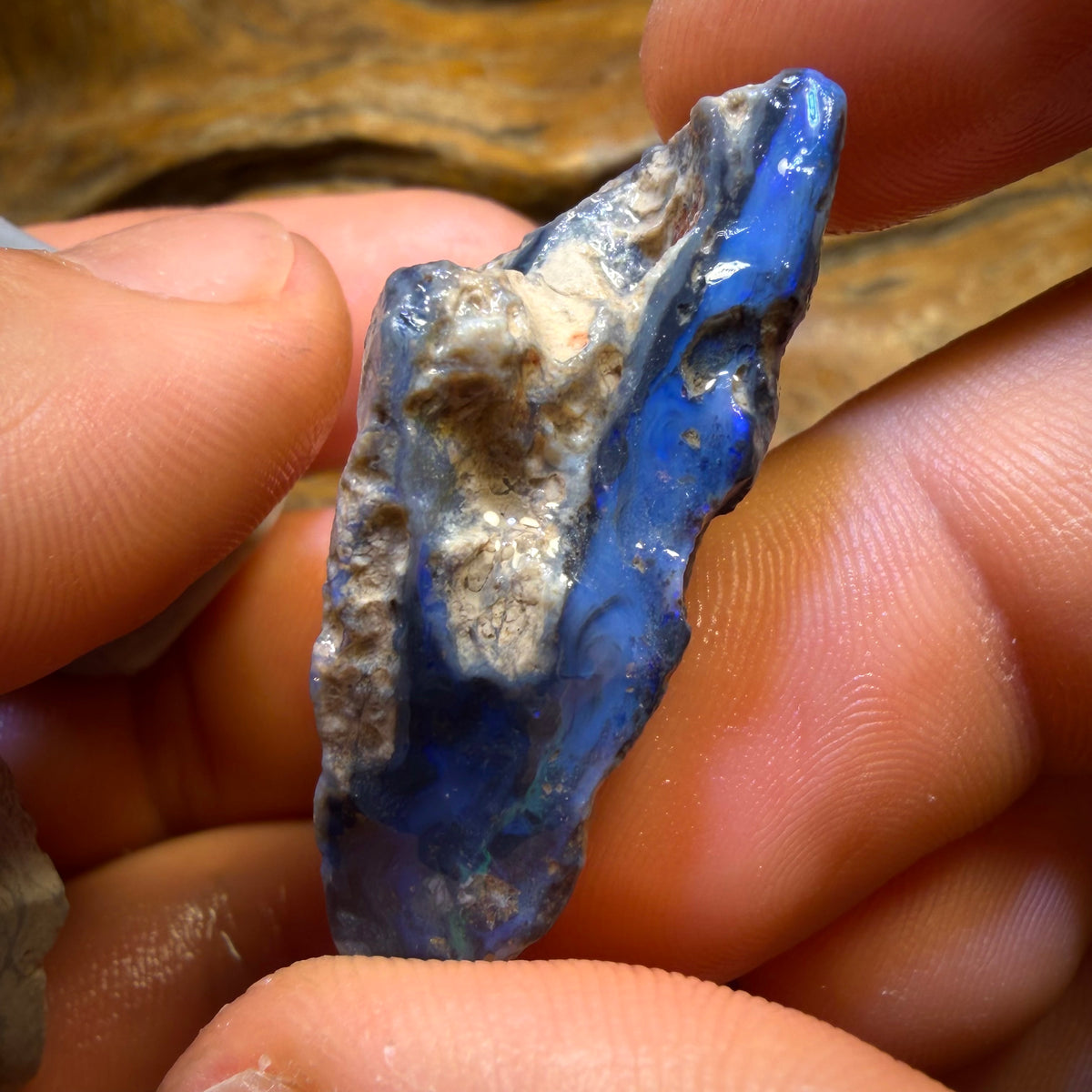 145.3cts - 3x Lightning Ridge Opal Rough Parcel