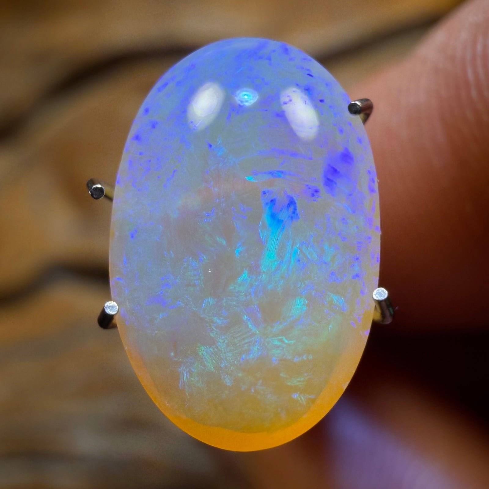 3.1cts - Lightning Ridge Crystal Opal