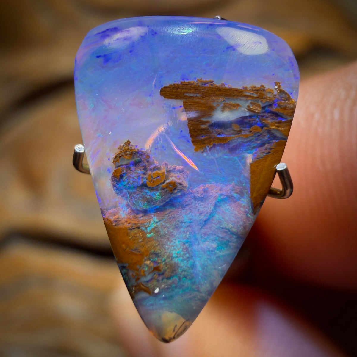 3.1cts - Wood Fossil Replacement Boulder Opal from Yowah