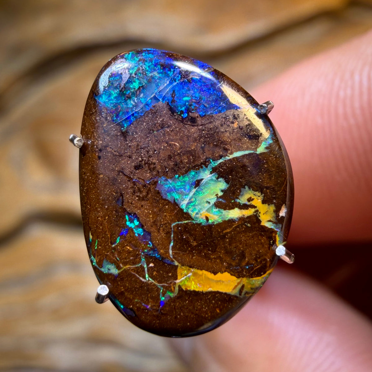 3.3cts - Queensland Boulder Opal from Yowah