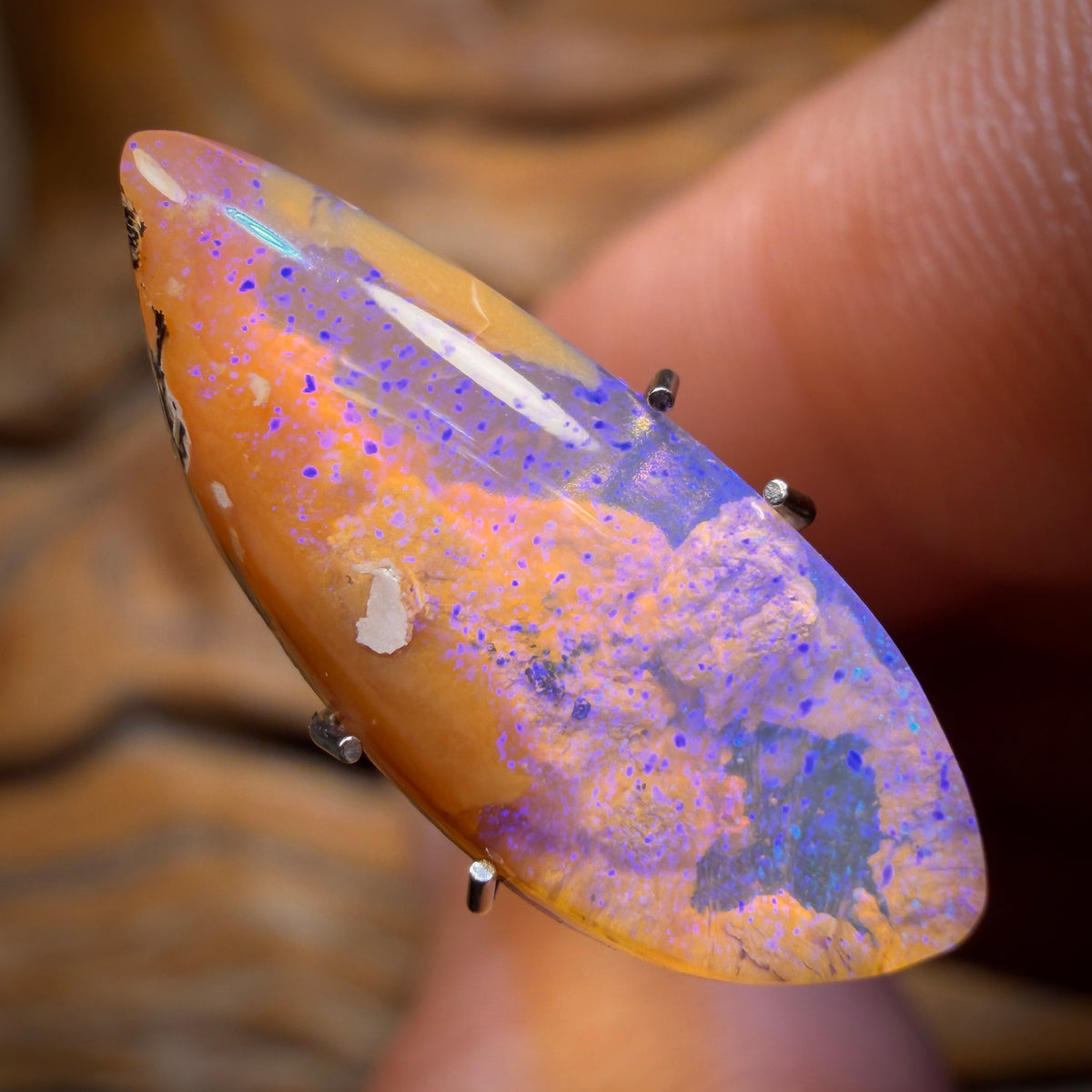 3.4cts - Solid Australian Boulder Pipe Opal