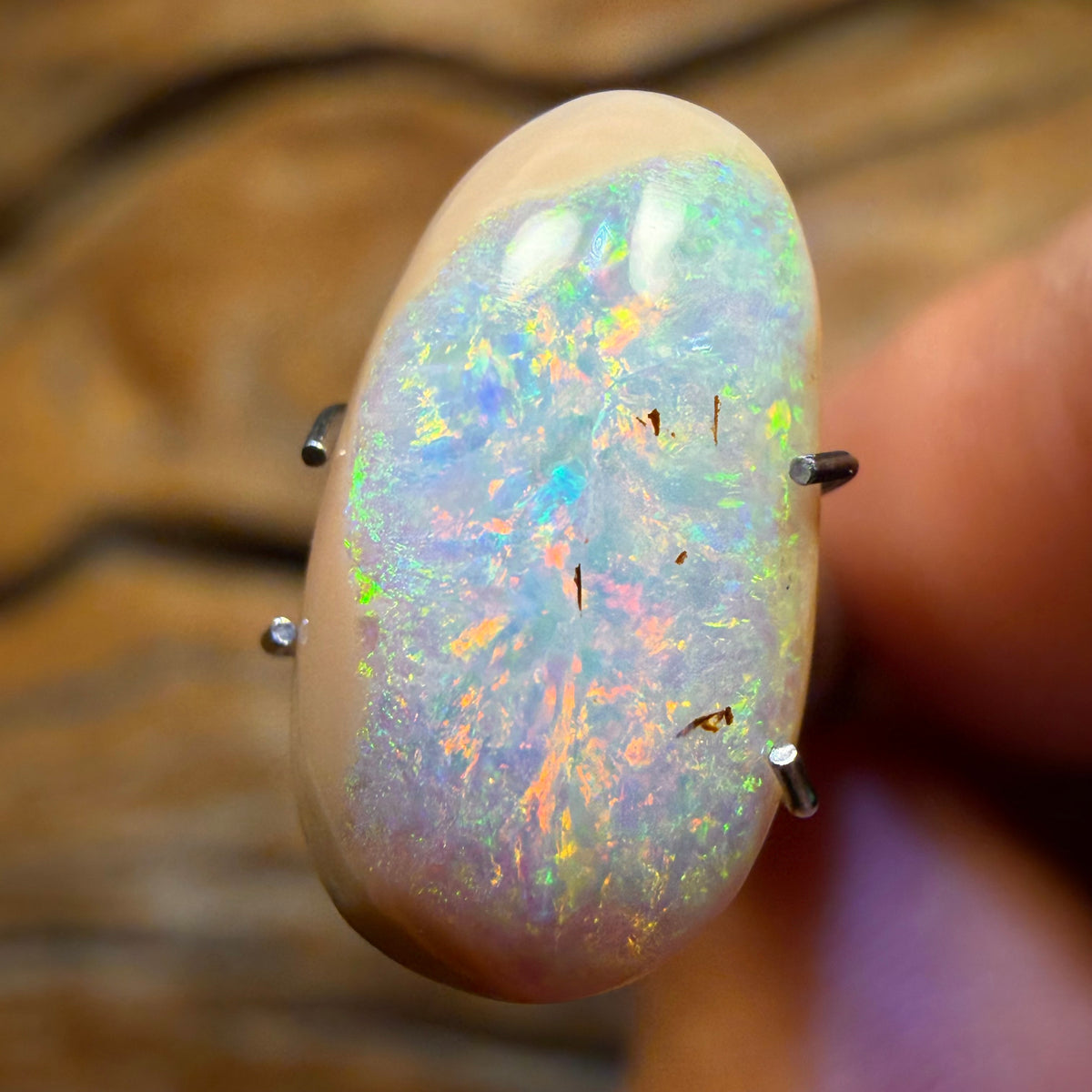 3.6cts - Australian Boulder Opal from Yowah