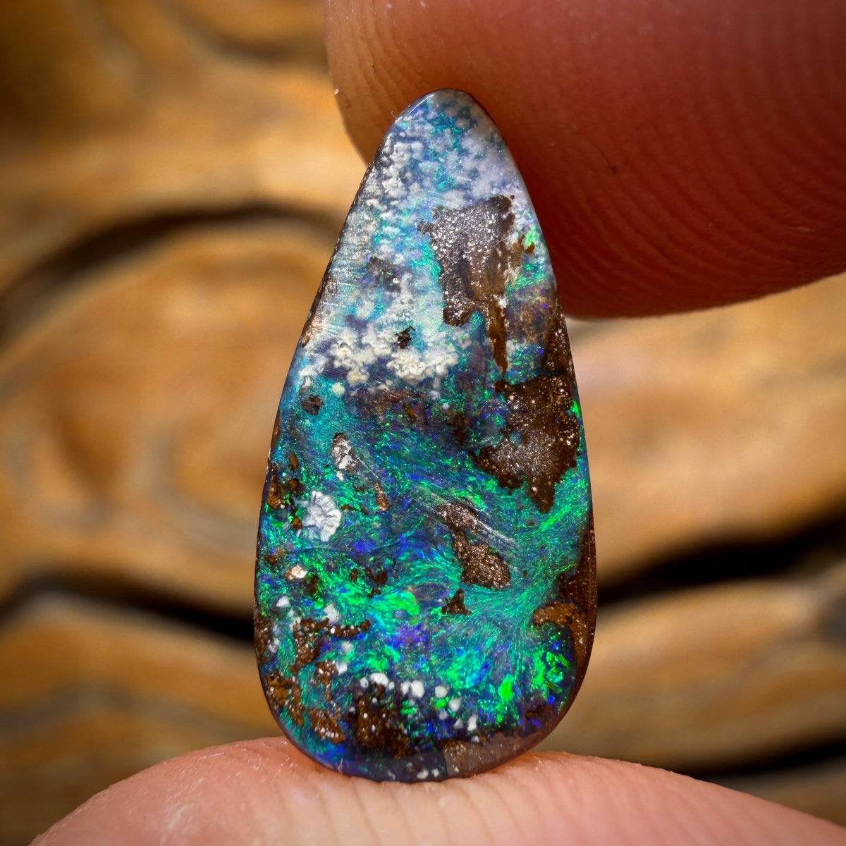 3.8cts - Queensland Boulder Seam Opal Rub
