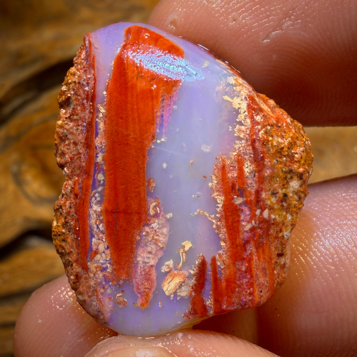30.9cts - Boulder Pipe Opal Rough Piece. Australian Opal