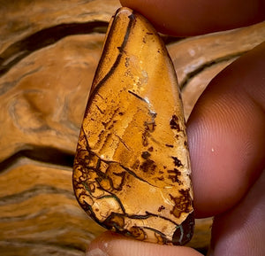 63.9cts - Tribal Queensland Boulder Opal from Yowah