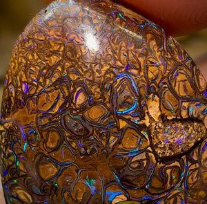 33.7cts - Yowah Nut Opal. Tribal Pattern