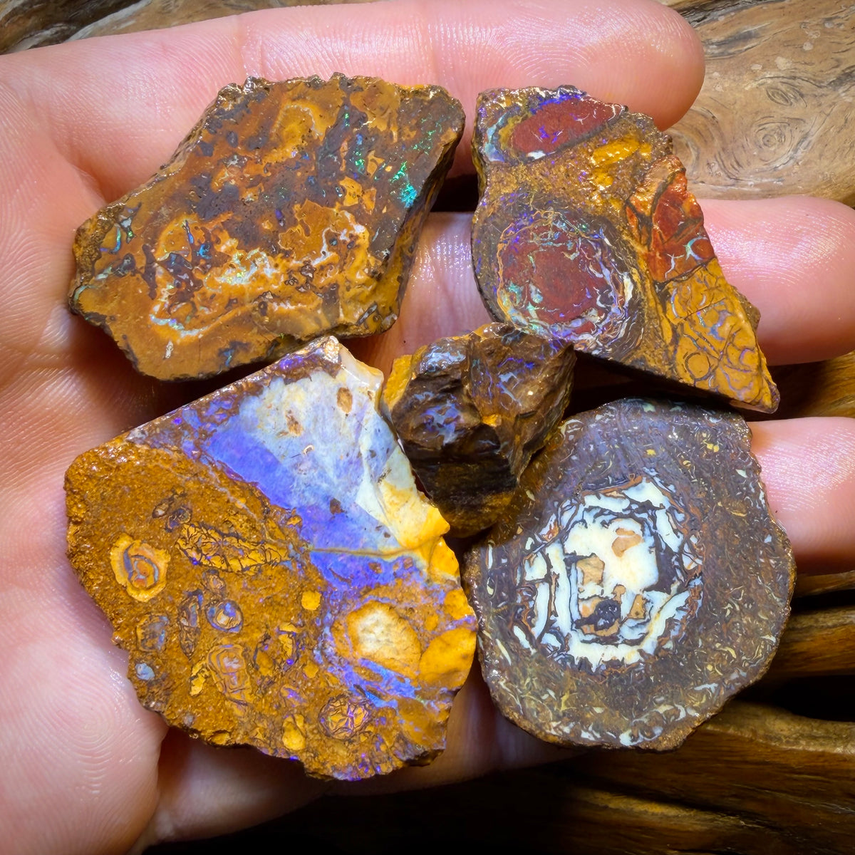 307.3cts - 5x Yowah Nut Opal Rough Parcel. Australian Boulder Opal