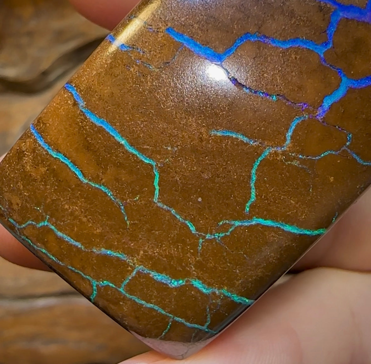 760.9cts - Polished Queensland Boulder Opal Specimen. Massive Heritage Piece - Opal Whisperers