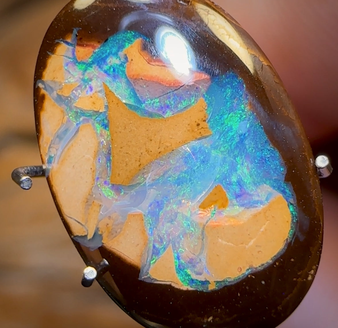 4.5cts - Yowah Nut Partial Crystal Centre Opal