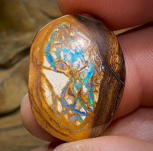 15.2cts - Yowah Nut Opal. Aquatic Pattern Partially formed Kernel Center .