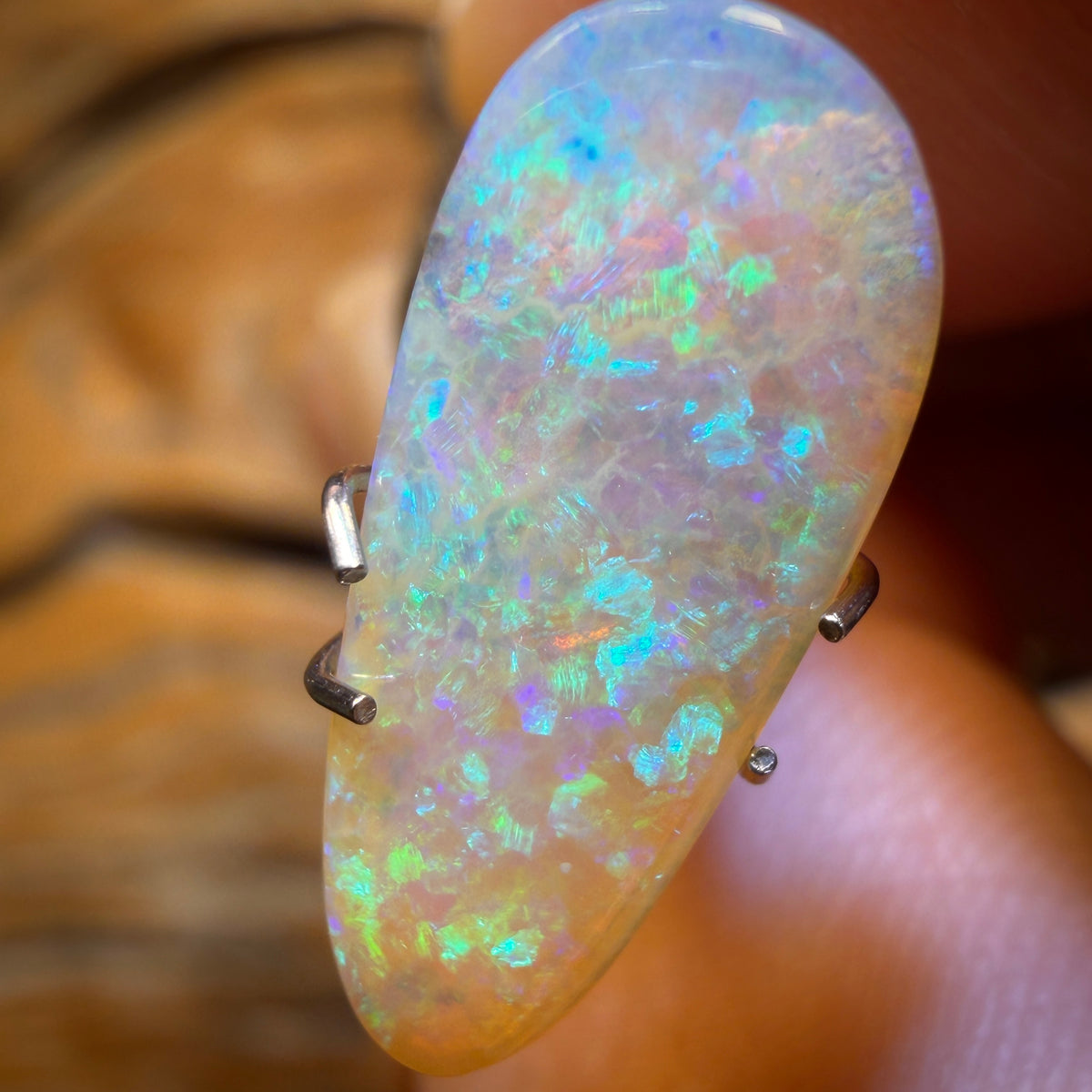 2.6cts - Solid Australian Boulder Pipe Crystal Opal