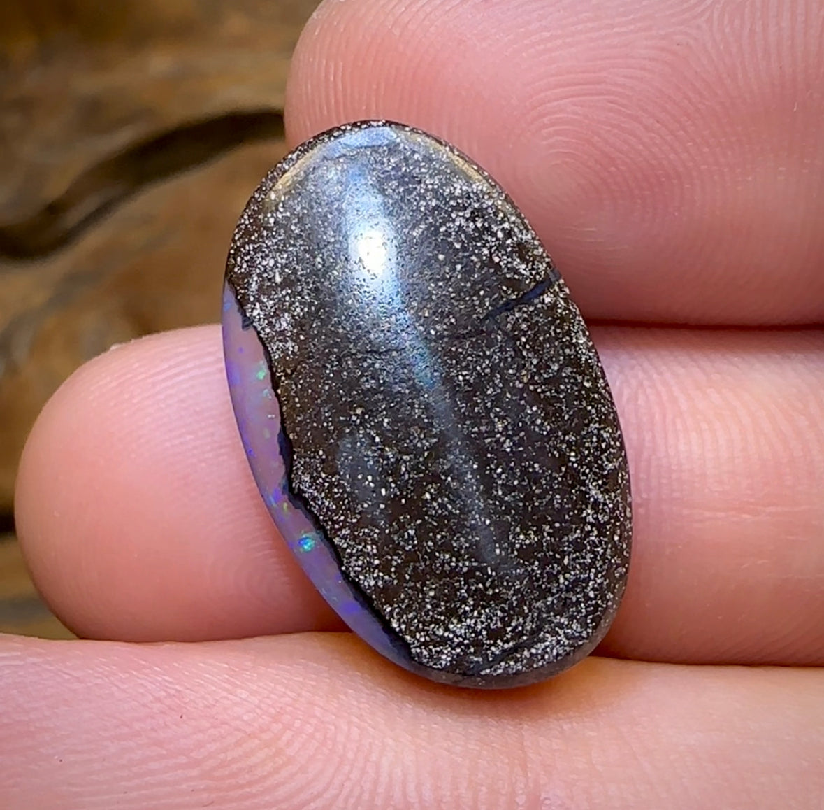 20.1cts - Queensland Black Boulder Opal from Winton - Opal Whisperers