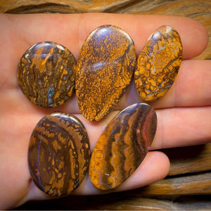 159.1cts - 5x Australian Tribal Boulder Opal’s. Wholesale Dealers Parcel