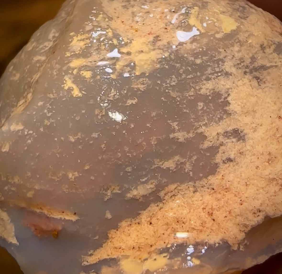 55.1cts - Opalised Shell Rare Geological Specimen from South Australia Great Complete Shape