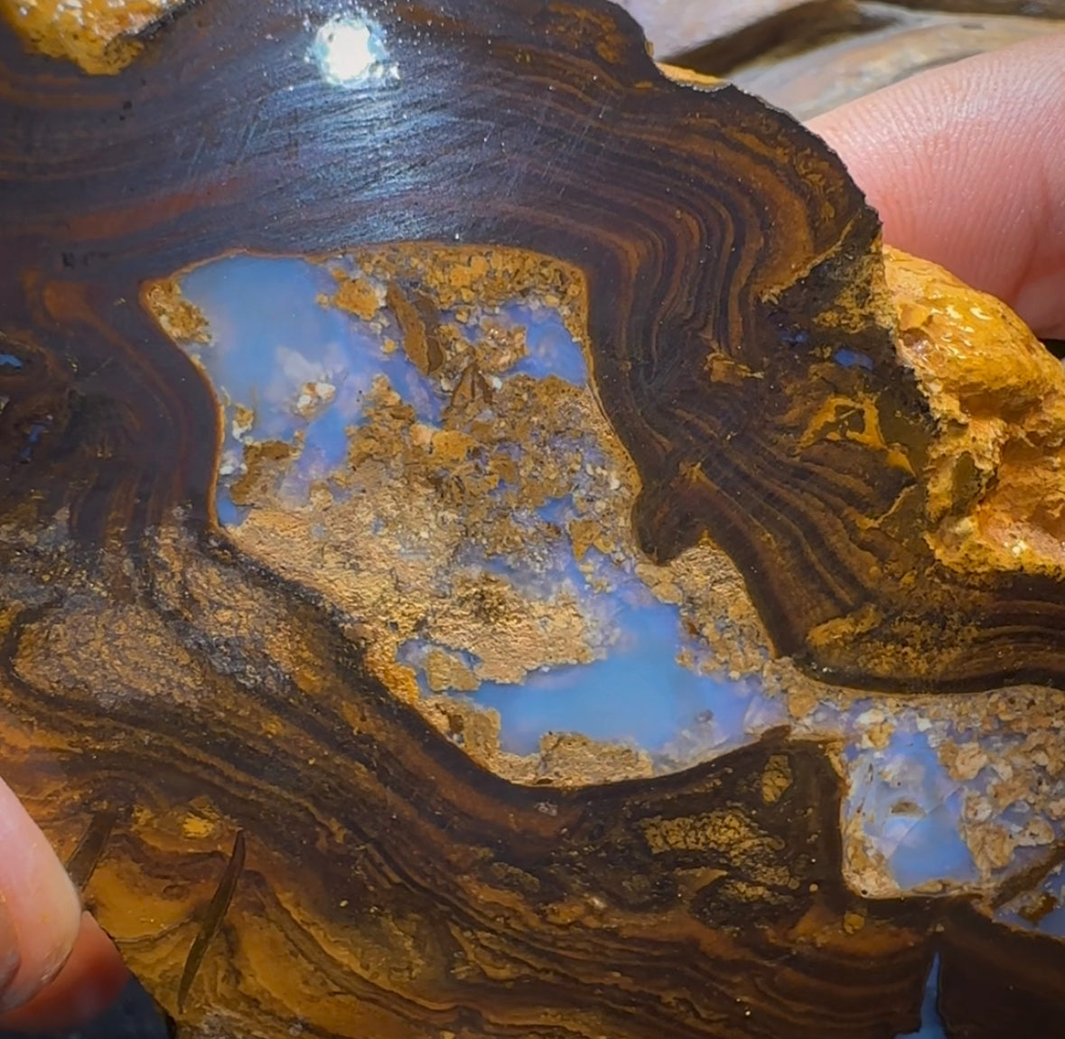 306.3g - Large Yowah Nut Opal Rough Slab - Opal Whisperers