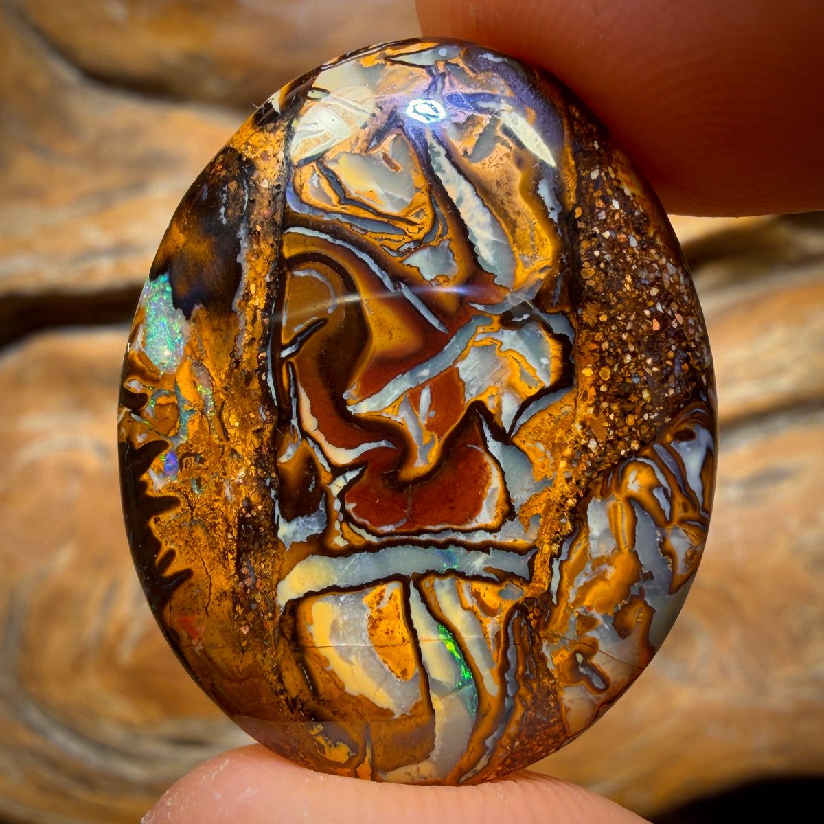 31.1cts - Tribal Queensland Boulder Opal from Yowah