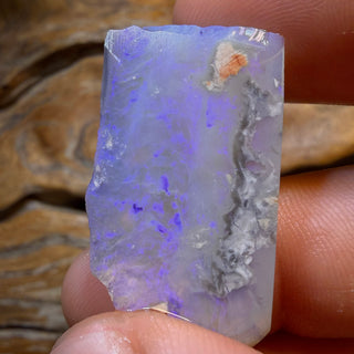 31.2cts - Lightning Ridge Dark Opal Rough Piece