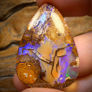 31.6cts - Top Australian Boulder Pipe Opal from Yowah