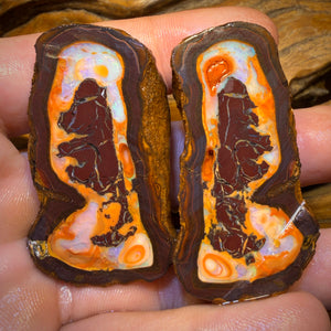 310.5cts - Yowah Nut Partial Crystal Centre Rough Specimen Pair