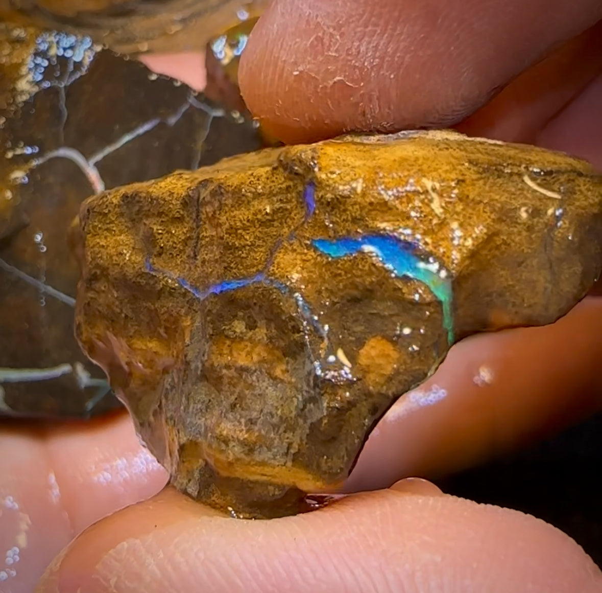 769cts - 4x Queensland Boulder Opal Rough Parcel from Winton