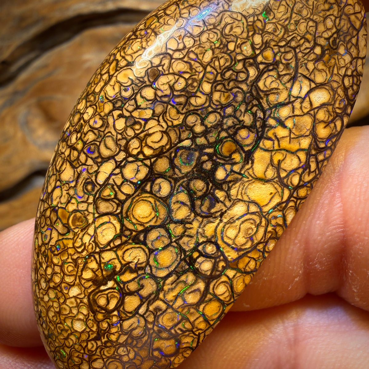 (AO) 107.6cts - Large Tan Tribal Queensland Boulder Opal from Yowah