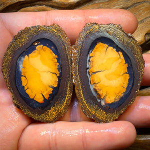 315.1cts - RARE Yowah Nut Partial Crystal Centre Rough Specimen Pair